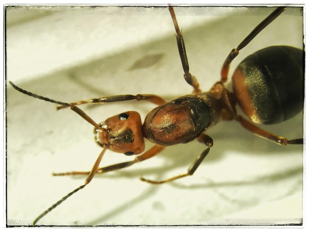 FullSizeRender 3